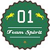 Badge Team Spirit