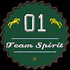 Badge Team Spirit